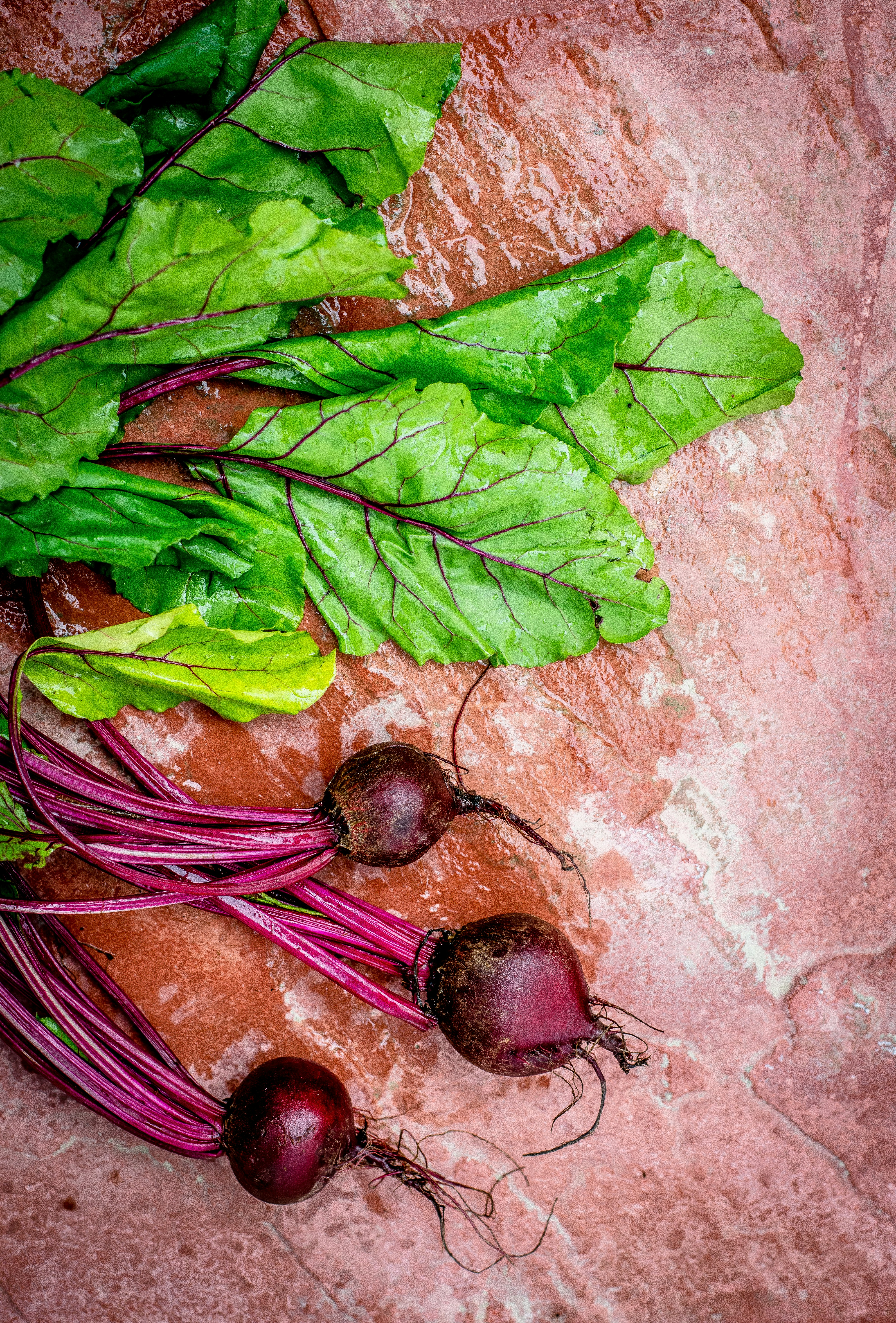 beetroot to prevent preeclampsia